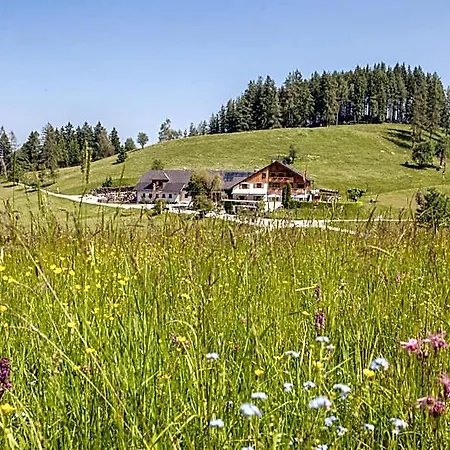 Fruehstueckspension Windlegern * Neukirchen (Altmunster)