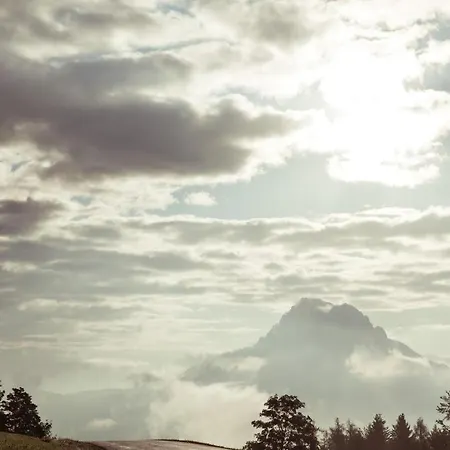 Inn Fruehstueckspension Windlegern Neukirchen (Altmunster)