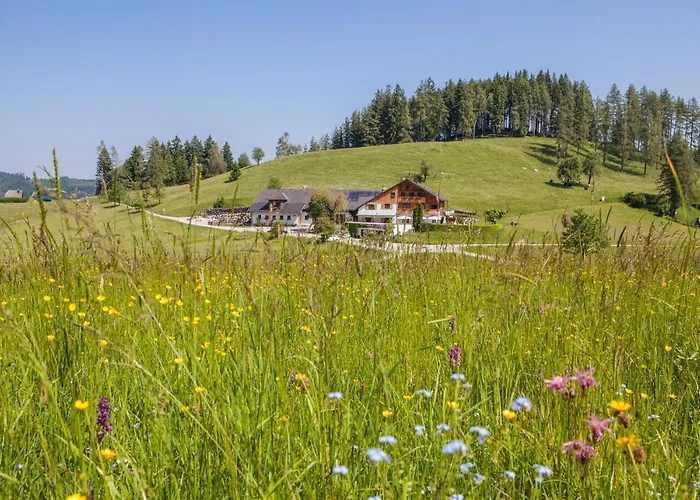 Fruehstueckspension Windlegern Penzion